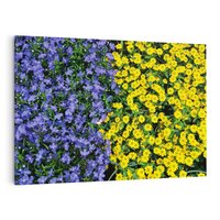 Obraz na płótnie 70x50 - Tulipanowe Elegancja - kwiat, kwiaty