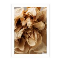 Plakat bez ramy 21x30 - Zjawiskowe zasuszone kwiaty - zasuszone, kwiaty