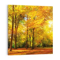 Obraz na płótnie 50x50 - Urok jesiennego lasu - las, drzewa