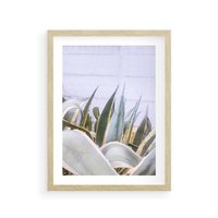 Plakat w ramie 40x50 - Sukulentowe liście - liście, sukulenty - rama drewno