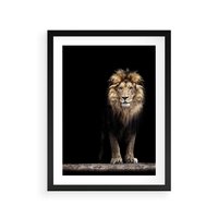 Plakat w ramie 40x50 - Lew: dzikie piękno natury - lew, dzikie - rama czarna