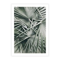 Plakat bez ramy 50x70 - Palmy w Zgaszonej Zieleni - palmy, tropikalne liście
