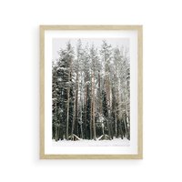 Plakat w ramie 40x50 - Sypiący Śnieg - las w zimie, drzewa pod śniegiem - rama drewno