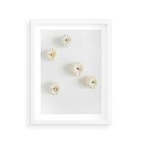 Plakat w ramie 50x70 - Biała Jesień: Dynie na Jasnym Tle - białe dynie, białe tło - rama biała