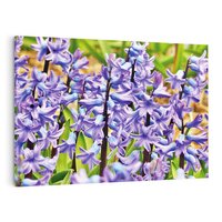 Obraz na płótnie 100x70 - Kwiatowy wibrant piękno natury - kwiat, kwiaty