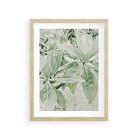 Plakat w ramie 50x70 - Jasnozielone Liście w Kompozycji - liście, jasna zieleń - rama drewno