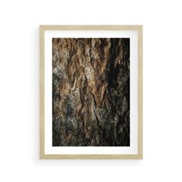 Plakat w ramie 50x70 - Tekstura Drewna: Zbliżenie - zbliżenie na pień drzewa, tekstura - rama drewno