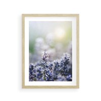 Plakat w ramie 30x40 - Delikatna Uroda Natury - wrzosy, fiolet - rama drewno