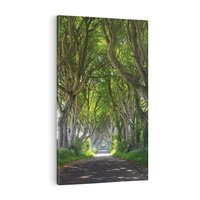 Obraz na płótnie 70x100 - Magiczny Las - drzewa, las