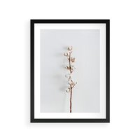 Plakat w ramie 40x50 - Minimalistyczna Gałązka Bawełny - bawełna, gałązka bawełny - rama czarna