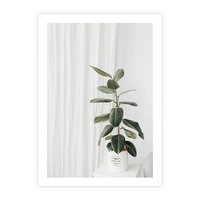 Plakat bez ramy 21x30 - Kwiat w Bieli - kwiat w doniczce, białe wnętrze