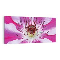 Obraz na płótnie 120x60 - delikatność natur - kwiat, kwiaty