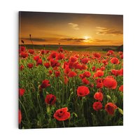 Obraz na płótnie 40x40 - Maki na łące: Przebudzenie wiosny - mak, maki