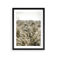 Plakat w ramie 30x40 - Pampas i Bocho - suche trawy, bocho - rama czarna