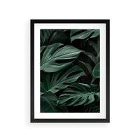 Plakat w ramie 50x70 - Zielone Liście Monstery w Dżungli - zielone liście monstery, dżungla - rama czarna