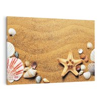 Obraz na płótnie 70x50 - Muszelki na malowniczej plaży - muszle, muszelki