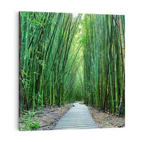 Obraz na płótnie 40x40 - Spacer wśród lasu - ścieżka, las