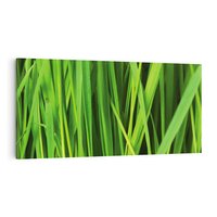 Obraz na płótnie 100x50 - Trawa w abstrakcji: natura przekształcona - trawa, abstrakcja
