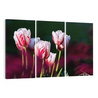 Obraz na płótnie 120x80 - Kwiatowy raj w naturze - kwiat, kwiaty