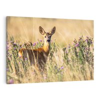 Obraz na płótnie 120x80 - Sarenka na malowniczej łące - sarna, sarenka