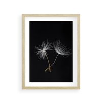 Plakat w ramie 40x50 - Delikatność Wiatru - dmuchawce, makro - rama drewno