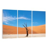 Obraz na płótnie 120x80 - Słońce i Suche Drzewo - pustynia, suche