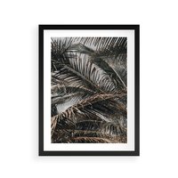 Plakat w ramie 50x70 - Liściaste Palmy - palmy, drzewa palmowe - rama czarna