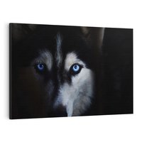 Obraz na płótnie 70x50 - Wilk i husky: siła przyjaźni - wilk, husky
