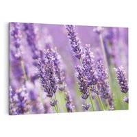 Obraz na płótnie 100x70 - Urok lawendy - lawenda, kwiaty