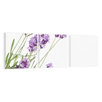 Obraz na płótnie 120x40 - Delikatny Urok - lawenda, kwiaty