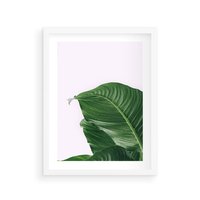 Plakat w ramie 40x50 - Zielone liście monstery - liście, monstera - rama biała