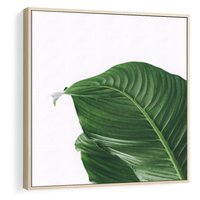 Obraz w ramie 50x50 - Zielone liście monstery - liście, monstera - rama drewno