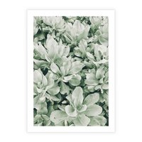 Plakat bez ramy 21x30 - Liście w Jasnych Odcieniach Zielonego - liście, jasna zieleń fotografia