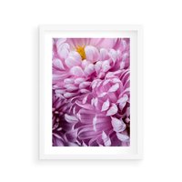 Plakat w ramie 30x40 - Fioletowy zawrót głowy - kwiat, różowy kwiat - rama biała