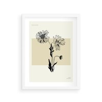 Plakat w ramie 40x50 - Kwiatowe Płótno - kwiaty, typografia - rama biała