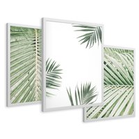 Zestaw obrazy w ramie 40x50 galeria - Liście, palma, tropikalne - rama biała