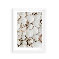 Plakat w ramie 30x40 - Białe Muszle - białe muszle, ujęcie z góry - rama biała