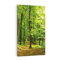 Obraz na płótnie 50x70 - Mistyka leśnych drzew - las, drzewa