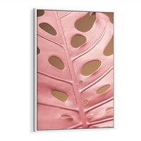 Obraz w ramie 70x100 - Różowa monstera w pełnym rozkwicie - różowa, monstera - rama biała