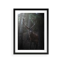 Plakat w ramie 50x70 - Jeleń wśród lasu - jeleń, las - rama czarna