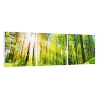 Obraz na płótnie 120x40 - Magia Leśnej Przyrody - las, drzewa