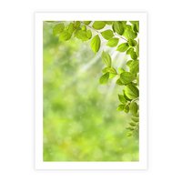 Plakat bez ramy 21x30 - Zielone liście natury - liści, zieleń