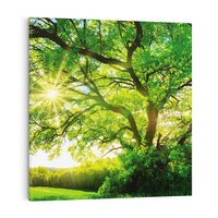 Obraz na płótnie 50x50 - Natura w pełnym rozkwicie - drzewo, niebo