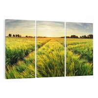 Obraz na płótnie 120x80 - Idylliczna łąka - łąka, natura