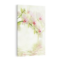 Obraz na płótnie 80x120 - Orchidea w Spa - orchidea, kwiaty