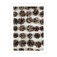 Plakat bez ramy 40x50 - Jesienna Tekstura - kompozycja z suchych szyszek, jesienne szyszki