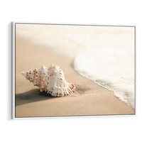 Obraz w ramie 70x50 - Urok plażowej muszelki - fotografia, muszla na plaży - rama biała