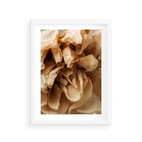 Plakat w ramie 40x50 - Zjawiskowe zasuszone kwiaty - zasuszone, kwiaty - rama biała