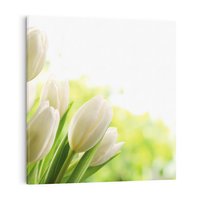 Obraz na płótnie 70x70 - delikatność kwiatów - tulipany, kwiat