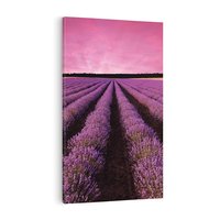 Obraz na płótnie 70x100 - Pola lawendy w pełnym rozkwicie - Lawenda, krajobraz
